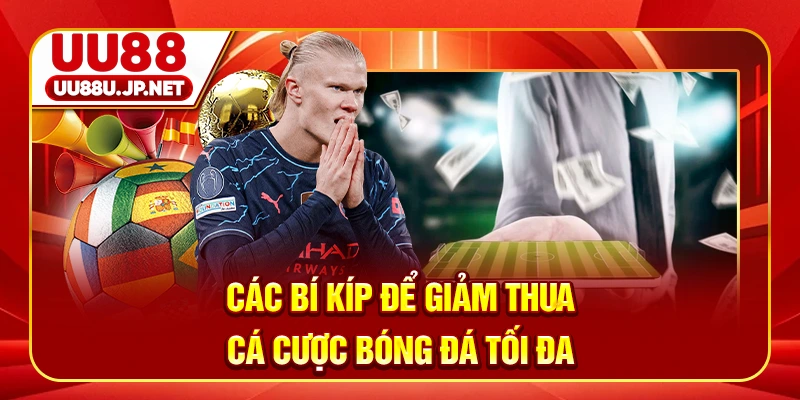 Các bí kíp để giảm thua cá cược bóng đá tối đa