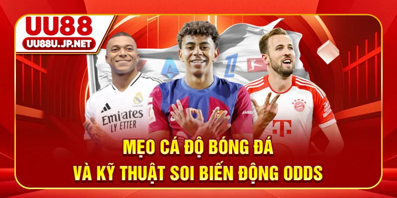 Mẹo cá độ bóng đá và kỹ thuật soi biến động Odds
