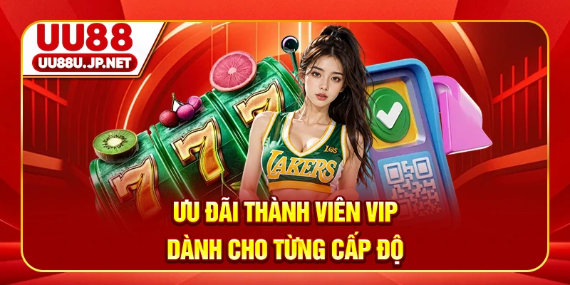 Ưu đãi thành viên VIP dành cho từng cấp độ