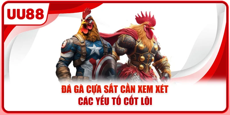 Đá gà cựa sắt cần xem xét các yếu tố cốt lõi