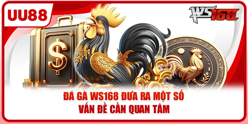 Đá gà WS168 đưa ra một số vấn đề cần quan tâm