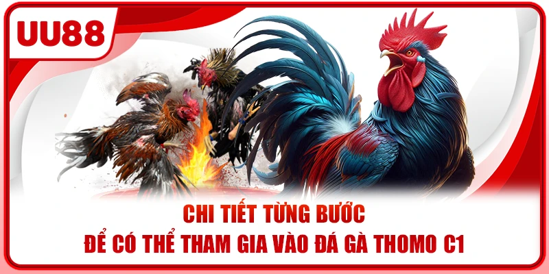 Chi tiết từng bước để có thể tham gia vào đá gà Thomo C1